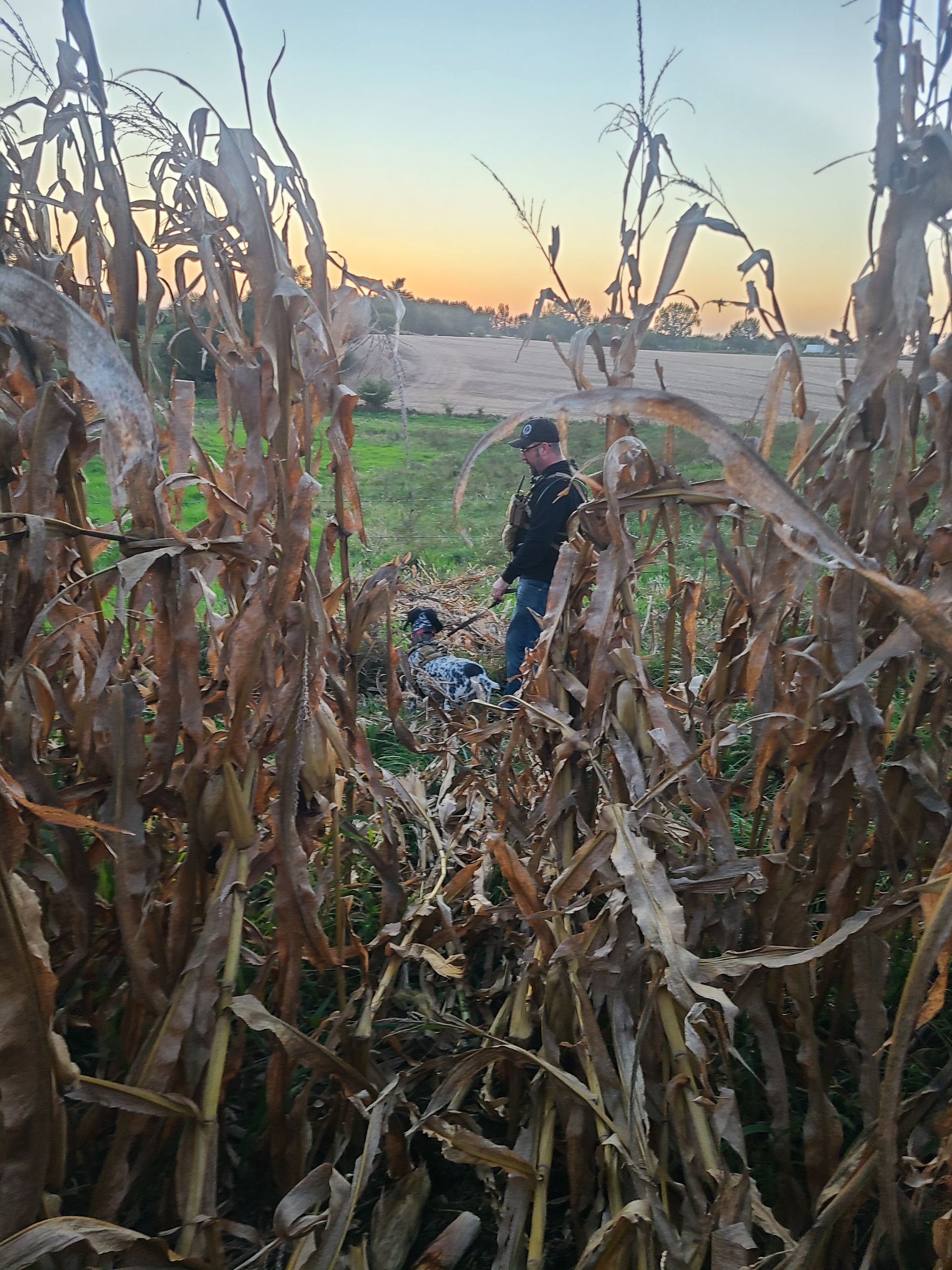 Corn Maze Buck 10-10-2025